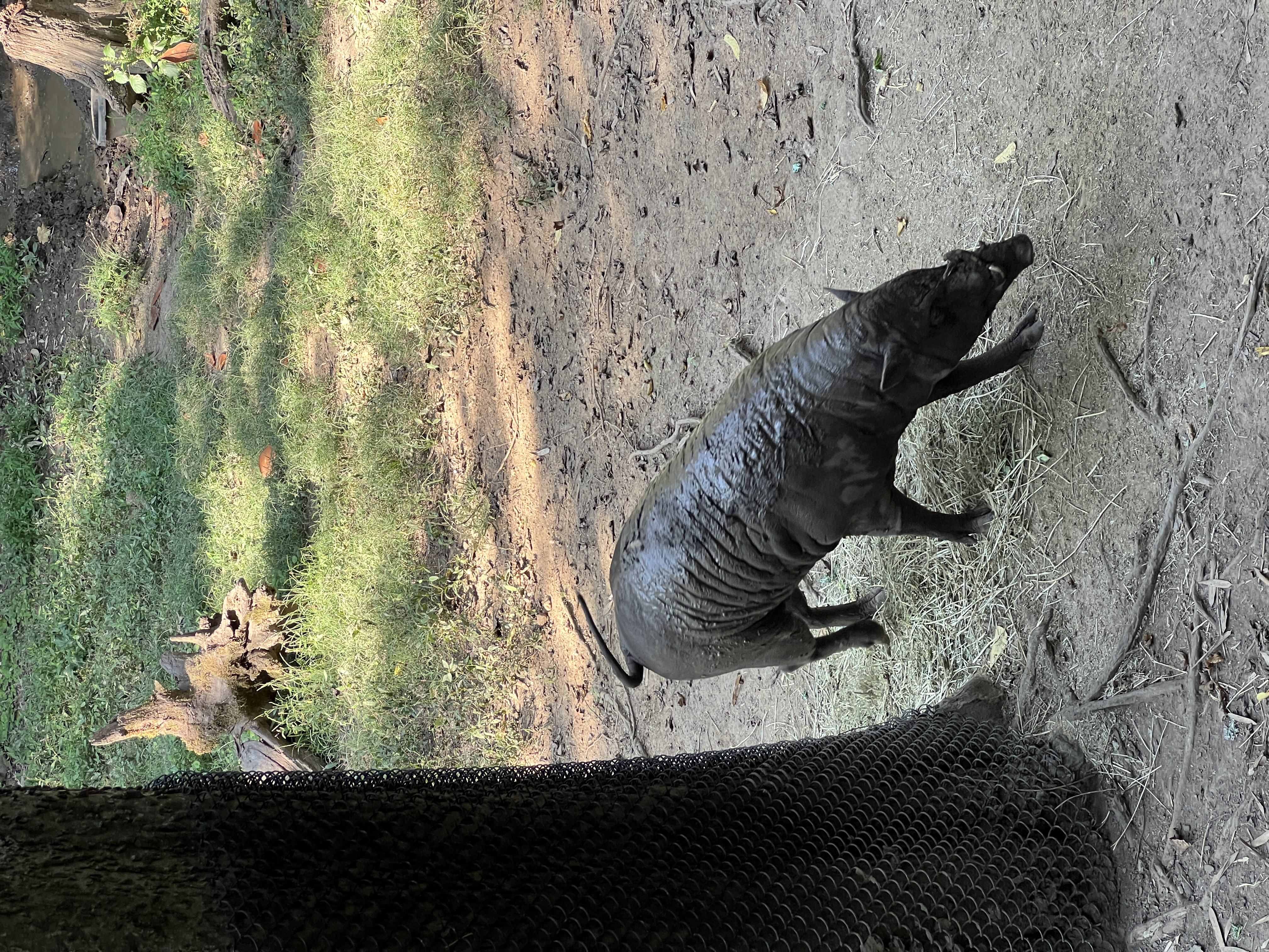 ./2025/11 - Nashville Trip/IMG_7201.JPG